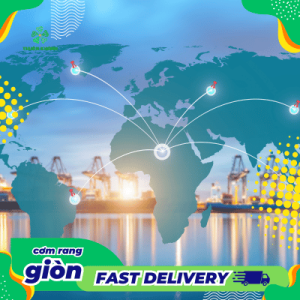 Do An Vat Xuat Khau Viet Nam Cac Mat Hang Tiem Nang Va Thi Truong 1 Thế Giới Cơm Rang Giòn